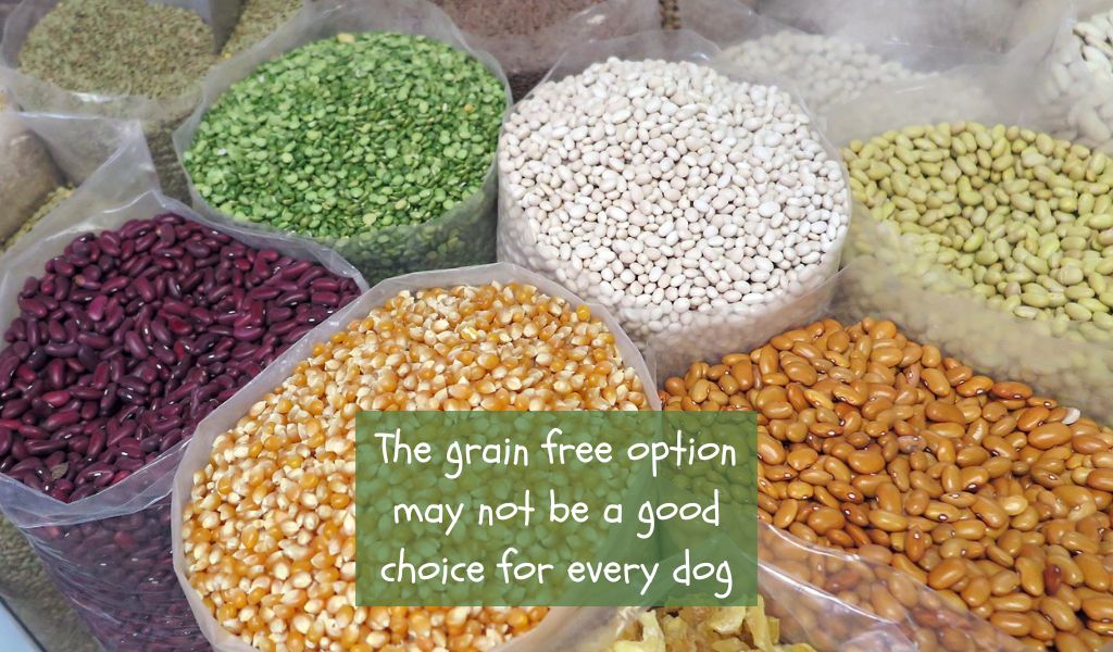 A Little Pet Food Knowledge ( donation receipt included )